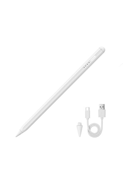 E-BODA Stylus Touch Pen Profesional cu Desen Rapid, Compatibil cu iPad și Apple, Control Tactil, Funcție Palm R