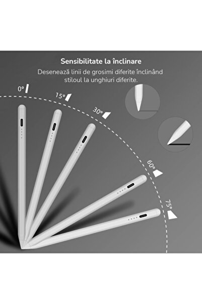 E-BODA Stylus Touch Pen Profesional cu Desen Rapid, Compatibil cu iPad și Apple, Control Tactil, Funcție Palm R