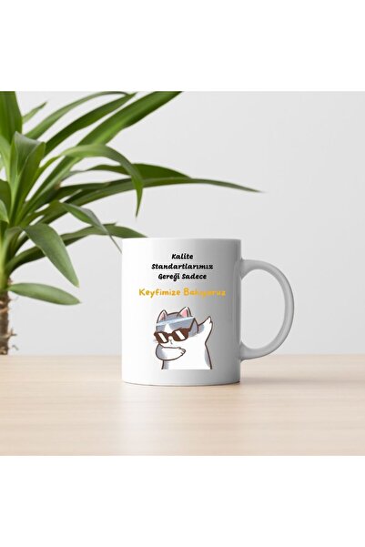 gifttime Funny Cat-Themed Coffee Mug – We Look to Our Pleasure Designed Gift Mug