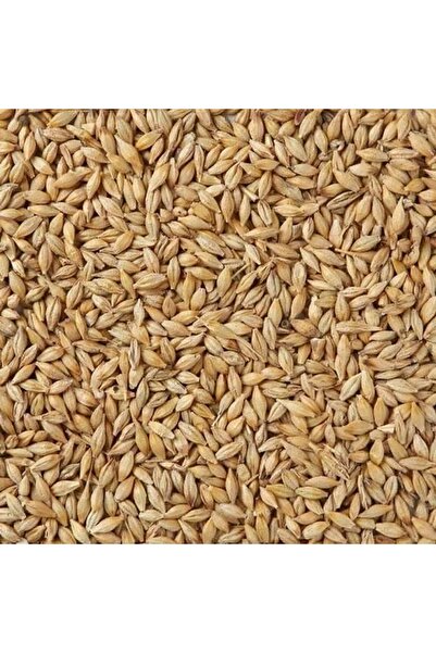 Natural جاف/جاو (شعير كامل) 1 كجم × 5