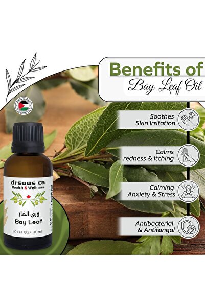 dr sous Organic Bay Leaf Oil 30ml - 100% Pure Cold Pressed Essential Oil (Made in Palestine)