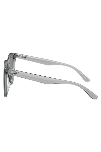 Ray-Ban Sunglasses Rb4423D 66 645087