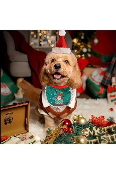 Payidar Hediyelik KEDİ / KÖPEK YILBAŞI PARTİ KIYAFETİ (2 PARÇA: ŞAPKA VE ÇİFT TARAFLI ÖNLÜK) EVCİL HAYVAN NOEL KOSTÜMÜ