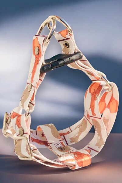 Angelapets KIZGIN TOM JERRY KEDİ KÖPEK GÖĞÜS TASMASI VE GEZDİRME KAYIŞI SET