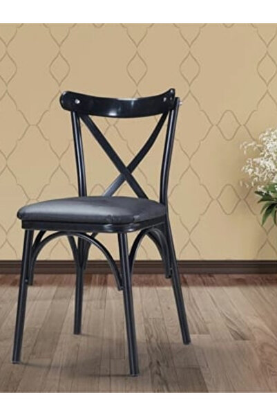 THONET 2 Adet Mutfak Balkon Salon Sandalyesi