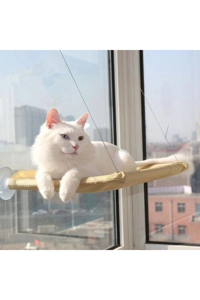 HarmonyAura Cat Bed Hanging on the Glass