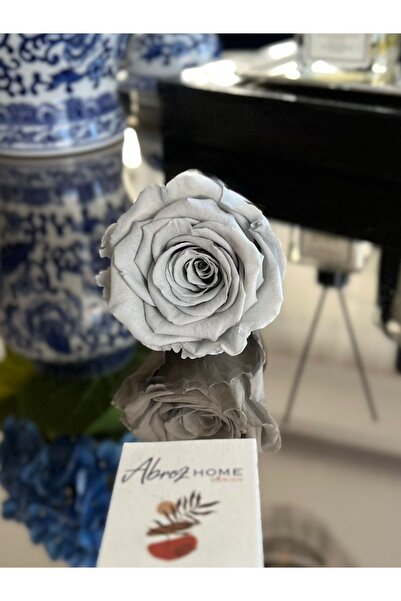 ABROZ HOME DESIGN Trandafir șocat care nu se decolorează / Gri