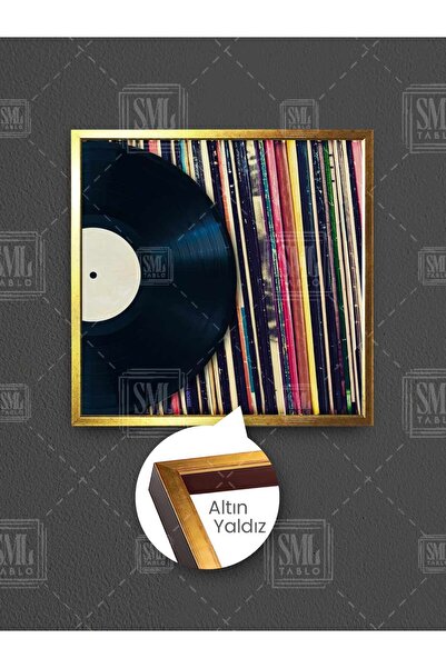 SML TABLO Gramofon nostalgic, placă de piatră, muzică veche, decor nostalgic, pictură pătrată pe pânză înrămată