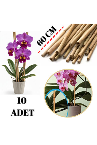 AYGHOME Bitki Destek Çubuğu Hasır Doğal Çubuk Orkide Sarmaşık Çiçek Türü Destek Çubuğu 10 Adet