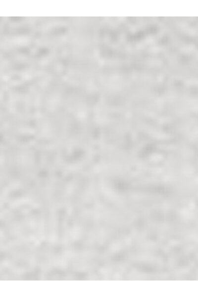 Levi's Standard Graphic Hoodie