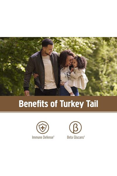 OM MUSHROOM Om Organic Mushroom Nutrition Supplement, Turkey Tail, Holistic Defense, Immune Support, 100 Serving