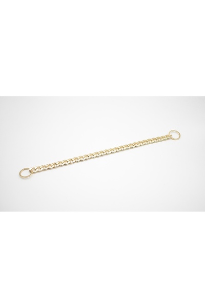 Other GOLDEN Gold-plated metal dog collar, size M