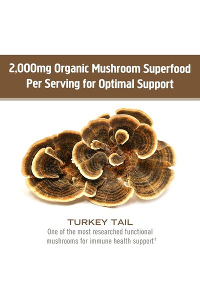 OM MUSHROOM Om Organic Mushroom Nutrition Supplement, Turkey Tail, Holistic Defense, Immune Support, 100 Serving