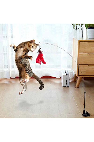 Vantuzlu Tüylü Kedi Oyuncağı