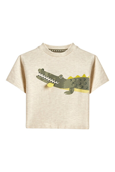Dirkje By Styli Boys Crocodile Print T-Shirt and Shorts Set