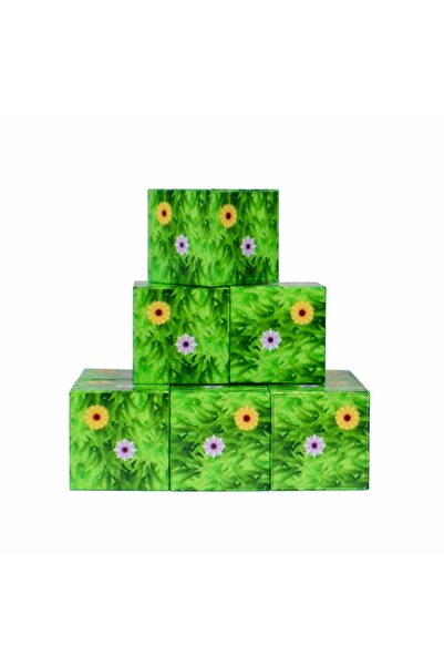 hak-iş oyuncak Megacraft Magnetic 9 Piece Blocks - Flower / Grass