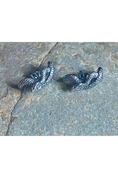 Viking Snake Design Nail Model 316L Stainless Tarnish-Free Steel Earrings Pair