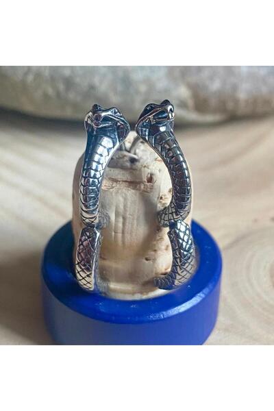 Viking Snake Design Hoop Earrings 316L Stainless Steel Tarnish-Free Earrings Pair