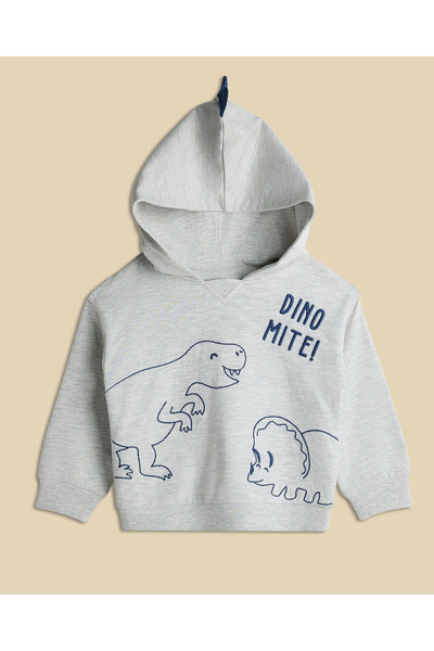 R&B Bleach Melange Boy's Dino Print Hooded Clothing Set