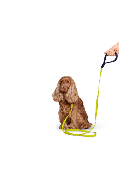 Tchibo Köpek Tasması, Reflektörlü