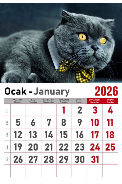 Orkide Matbaacilik Takvim - Spiralli 12 Yaprak 32x47 cm - Kedi Resimli Kuşe Kağıt Duvar Takvimi - 2026