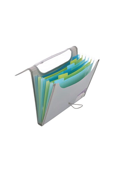 Strigo Expandable plastic folder A4, 12 compartments, gray SF103