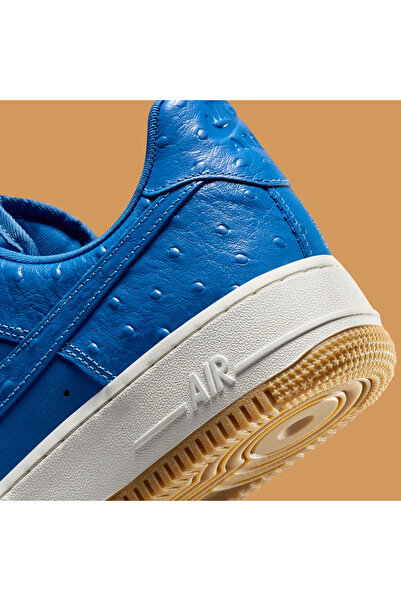 Nike AIR FORCE 1 LOW “BLUE STAR” DZ2708-400