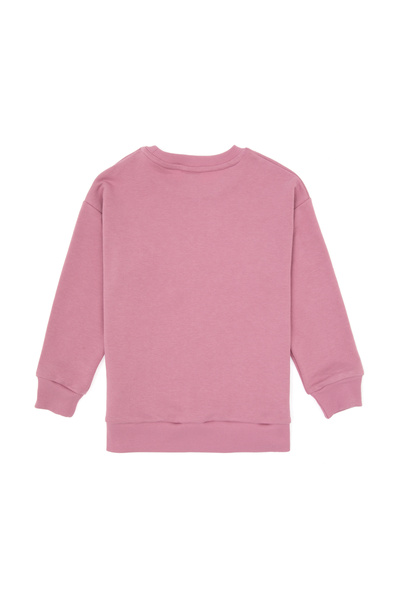 U.S. Polo Assn. Kız Çocuk Pembe Eşofman Takımı 50318952-VR026