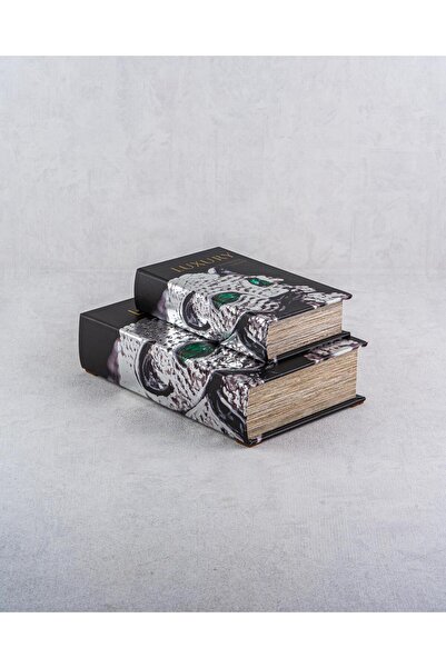 LAMEDORE Zarif Tasarım Kitap Kutu Seti 27X