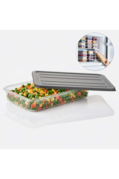 Köken Food storage container with lid, 2.4L, BPA-free plastic, cold-resistant, Transparent/Gray