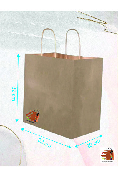 AMBALAJDÜNYAM Burgu Saplı Kraft Kağıt Çanta Cafe Servis Poşeti 32x20x32 (10 a...
