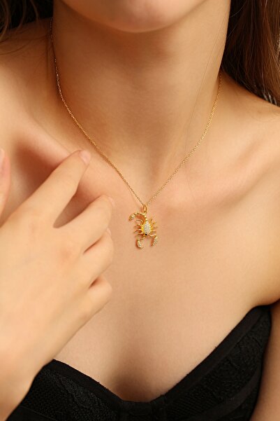 Argentum Concept 18K Altın Kaplamalı 925 Ayar Gümüş Akrep Kolye - 23183902