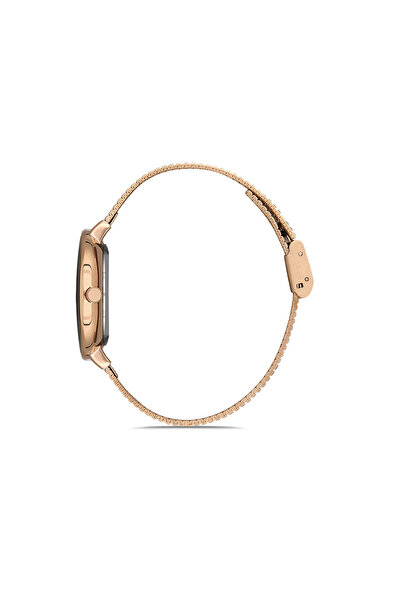 Daniel Klein Premium Watch DK.1.12899.2