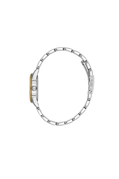 Daniel Klein Arcadia watch DK.1.13846.3