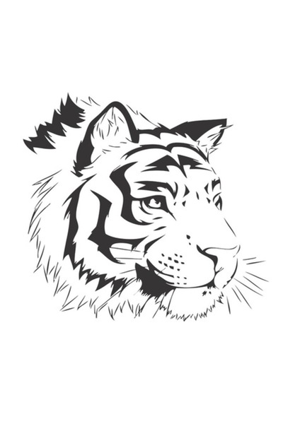 BV Autocolant decorativ, Tigru, 55 cm, 1075STK