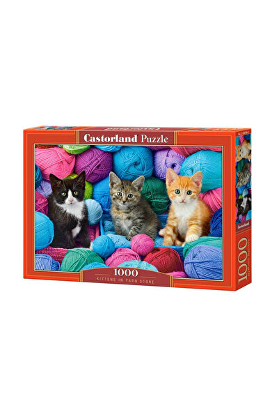 Castorland Puzzle 1000 piese Pisicuțe în Magazin de Fire 104796