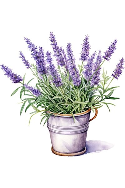 BV Autocolant decorativ - Ghiveci cu lavandă, violet, 60x60 cm