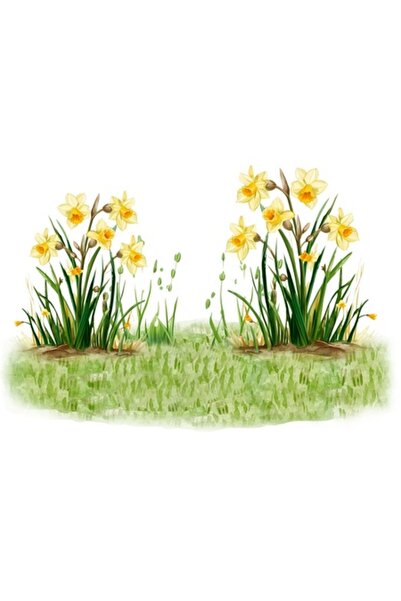 BV Decorative sticker, Snowdrops, Yellow, 88 cm