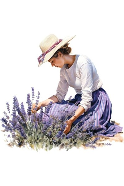 BV Autocolant decorativ, Lavandă, Mov, 63 cm, 1339STK