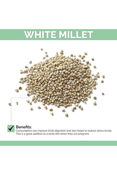 MyPetShop ® Budgie Food Premium - Budgie Seed Mix, Vitamin Added, 2 kg