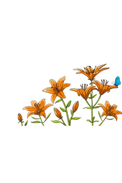 BV Decorative sticker - Lily, 150 cm (397STK-3)