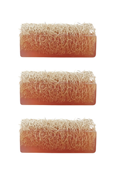 Dr.Dermalok Set of 3 Pumpkin Fiber Tar Soap (Peeling Effect)