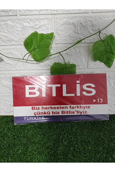 Home Tablo " Bitlis 13 Memleket tablo 15x30 cm"