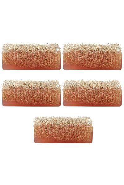 Dr.Dermalok مجموعة من 5 صابونات من ألياف اليقطين (مع تأثير تقشير)