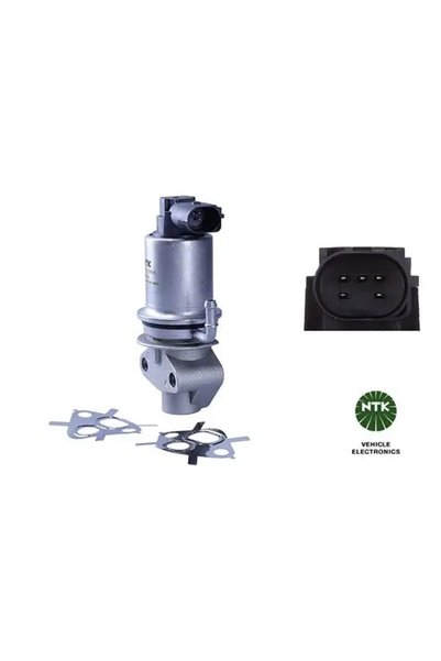 NGK 90204 EGR Valfi