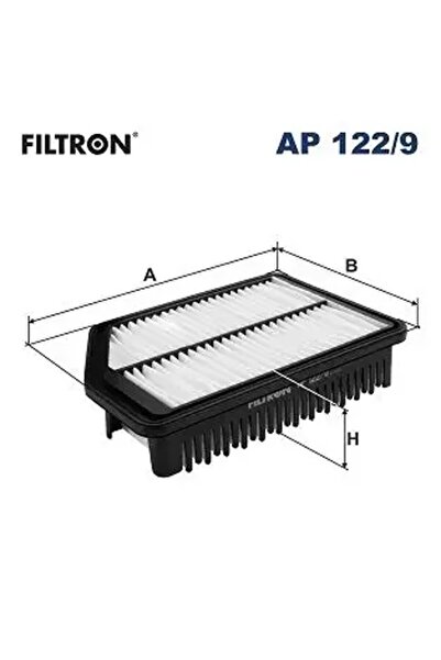 Filtron Ap1229 Air Filter 281133X000 281133X000As S281133X000