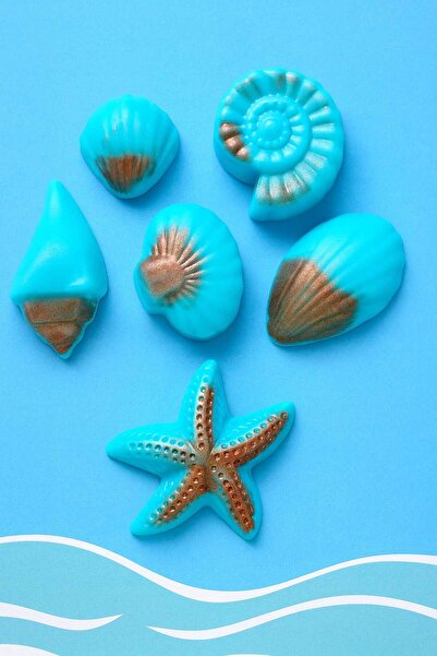 SOO SOAP DENİZ KABUKLARI SABUN SETİ DEKORATİF HEDİYELİK MAVİ BAKIR TONLARI PUDRA KOKULU
