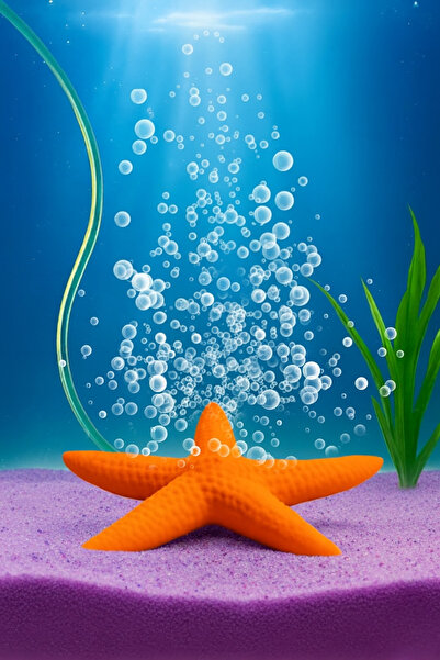 MD×JOA Air Stone Starfish (Orange) Suitable for All Types of Fish, Mini Aquar...