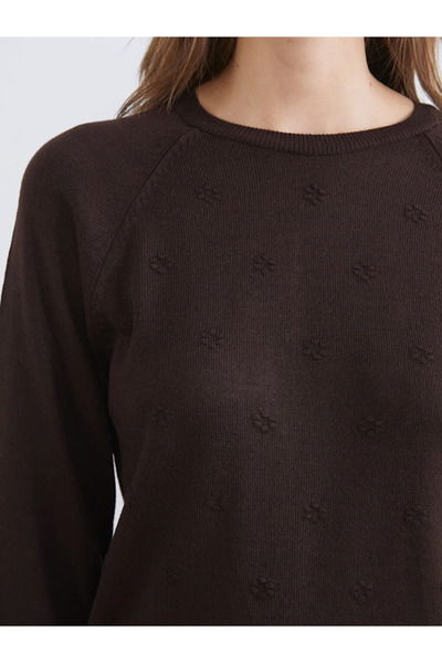 LC Waikiki LCWAIKIKI Pulover clasic pentru femei, maro, cu guler rotund și flori