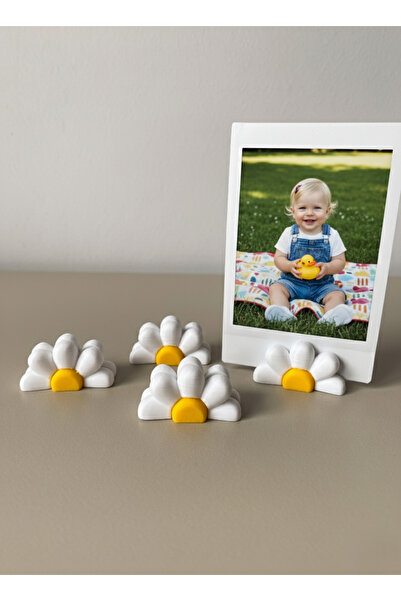 Figuva حامل الصور والملاحظات على شكل زهرة الأقحوان، حامل ملاحظات مكون من 4 قطع - أبيض